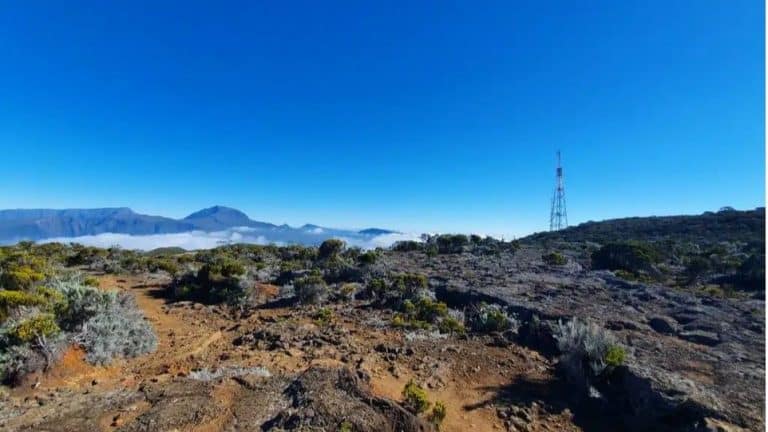 la reunion