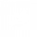 eco responsabilité
