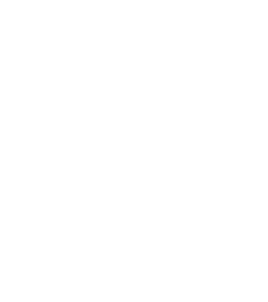 3v