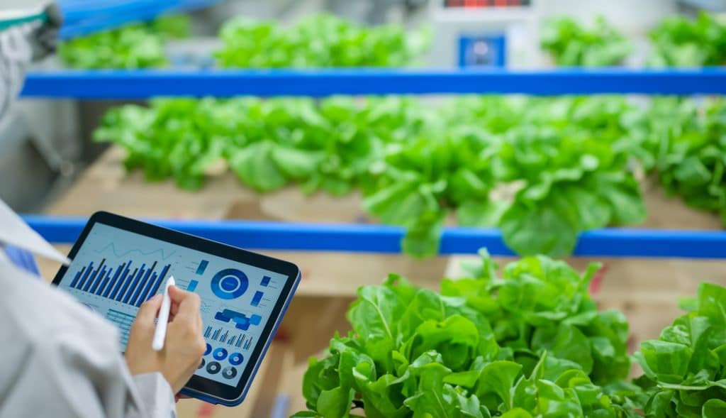 an,engineer,managing,a,vegetable,factory,using,a,tablet.