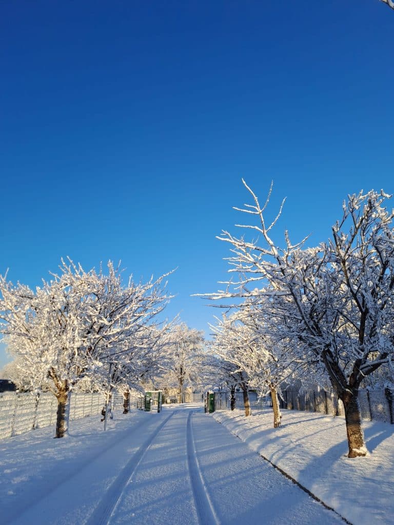 nantes haute goulaine 2