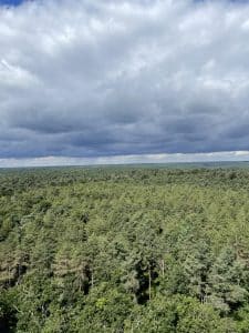 Détection de feux de forêt : retour d’expérience du SDIS 77 grâce à un pylône TDF en forêt de Fontainebleau