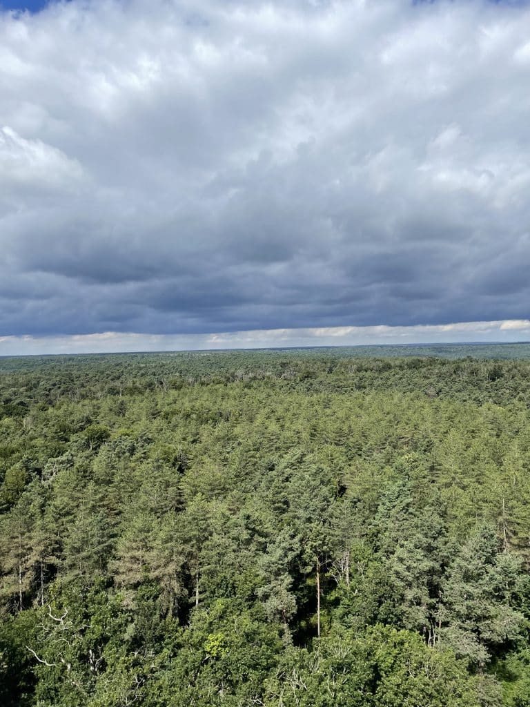 Détection de feux de forêt : retour d’expérience du SDIS 77 grâce à un pylône TDF en forêt de Fontainebleau