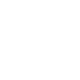 euro